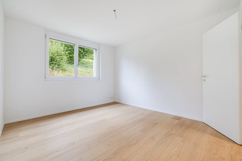 Newly built 5.5-room apartment with large terrace (8)