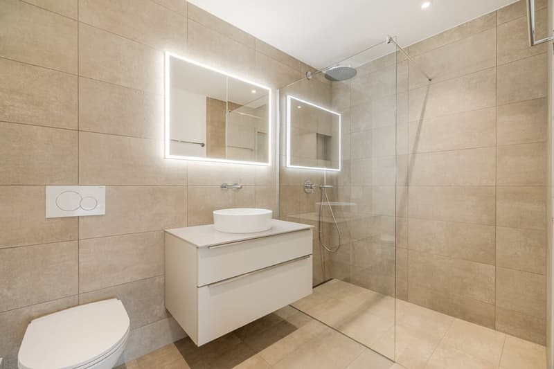 Newly built 5.5-room apartment with large terrace (6)