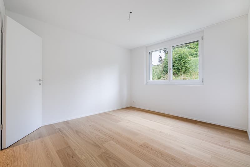 Newly built 5.5-room apartment with large terrace (9)