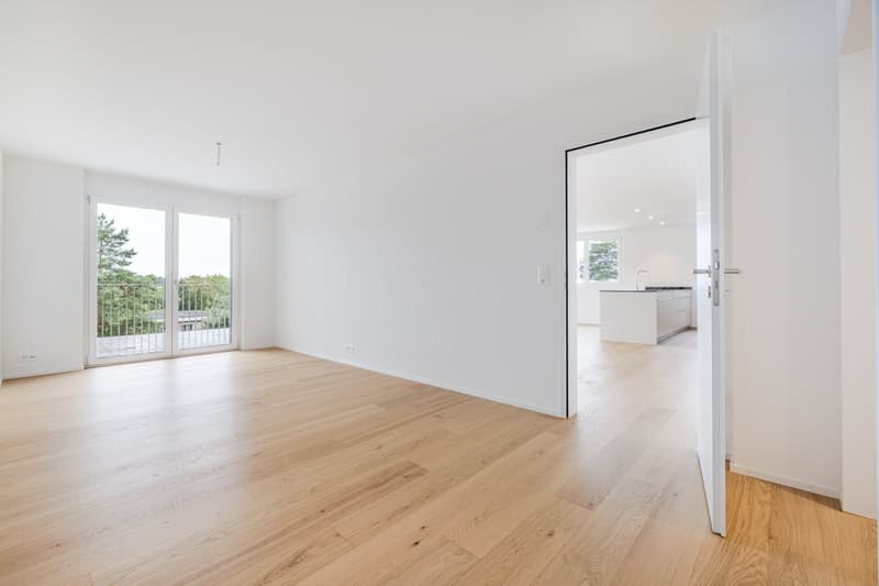 Newly built 5.5-room apartment with large terrace (5)