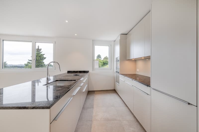 Newly built 5.5-room apartment with large terrace (3)