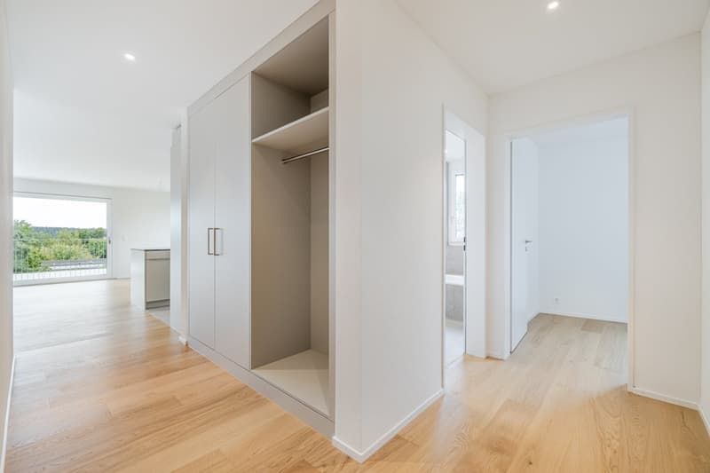 Newly built 5.5-room apartment with large terrace (4)