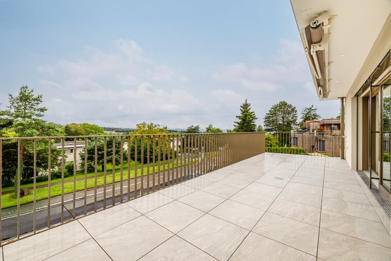 Newly built 5.5-room apartment with large terrace (1)