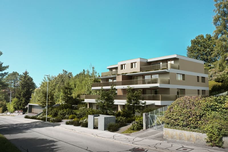 Newly built 5.5-room apartment with large terrace (12)