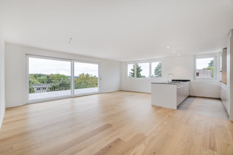 Newly built 5.5-room apartment with large terrace (2)
