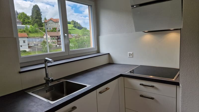 Appartement 1.5 Pièces HP avec Espace de Séjour (3)