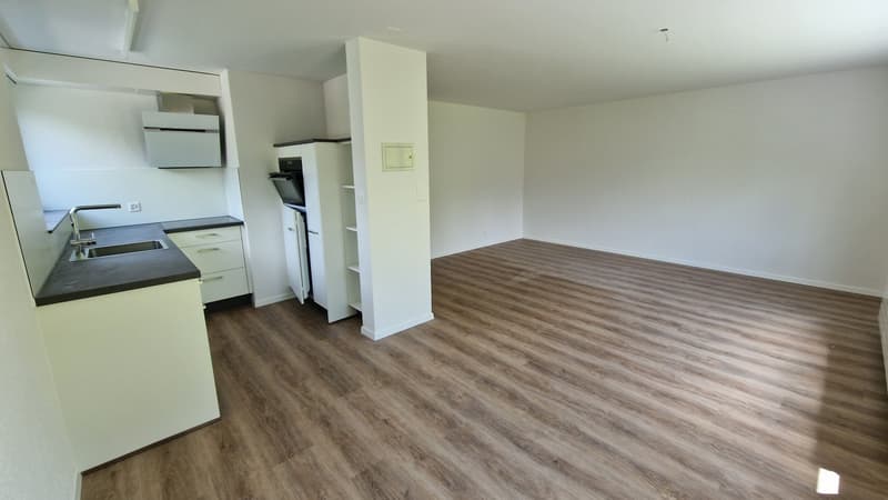 Appartement 1.5 Pièces HP avec Espace de Séjour (4)