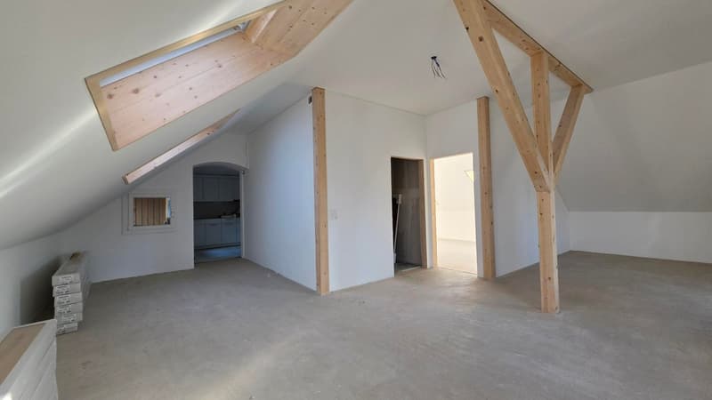 Charming 2.5-room attic apartment in an old building on Rosenstrasse, St. Margrethen (5)