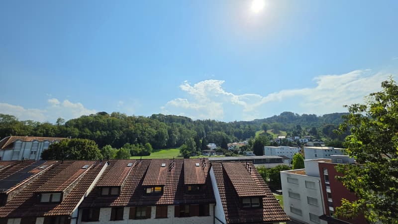 Charmante 2.5-Zimmer-Dachwohnung im Altbau an der Rosenstrasse, St. Margrethen (8)