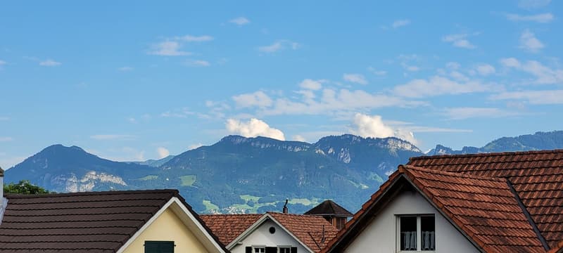 grosszügige 2.5-Zimmer-Wohnung 1. OG (14)