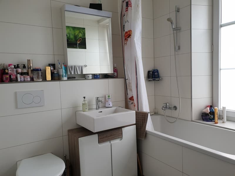 grosszügige 2.5-Zimmer-Wohnung 1. OG (6)