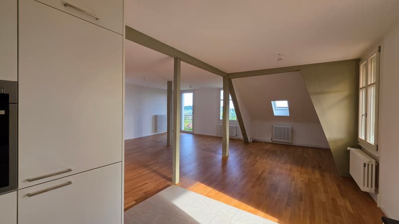 3.5 Zimmer-Dachwohnung 109m2 im 4. OG mit grosser Terrassen 36m2 (5)