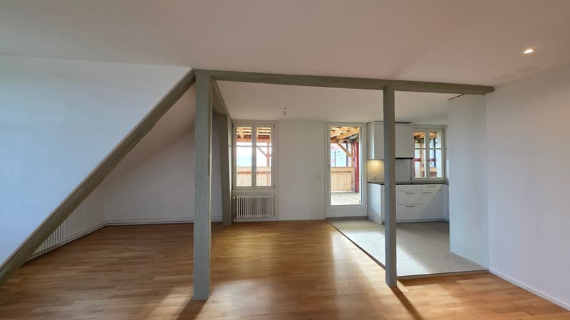 3.5 Zimmer-Dachwohnung 109m2 im 4. OG mit grosser Terrassen 36m2 (2)