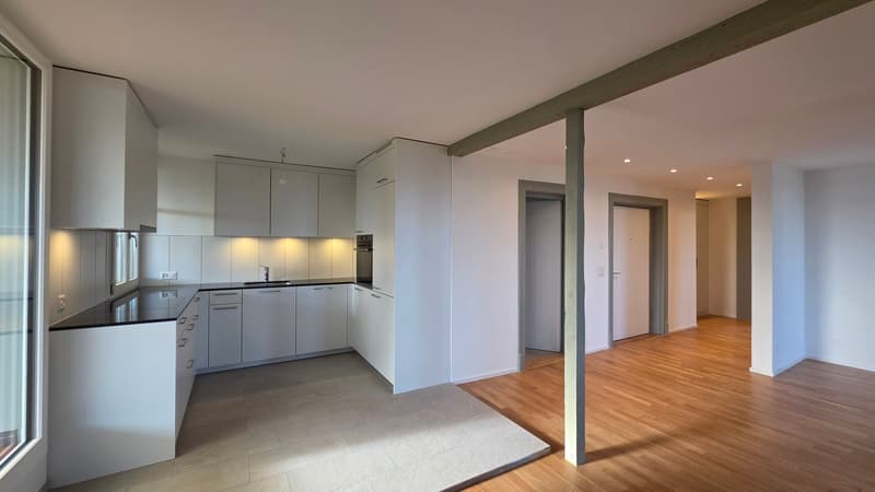 3.5 Zimmer-Dachwohnung 109m2 im 4. OG mit grosser Terrassen 36m2 (3)