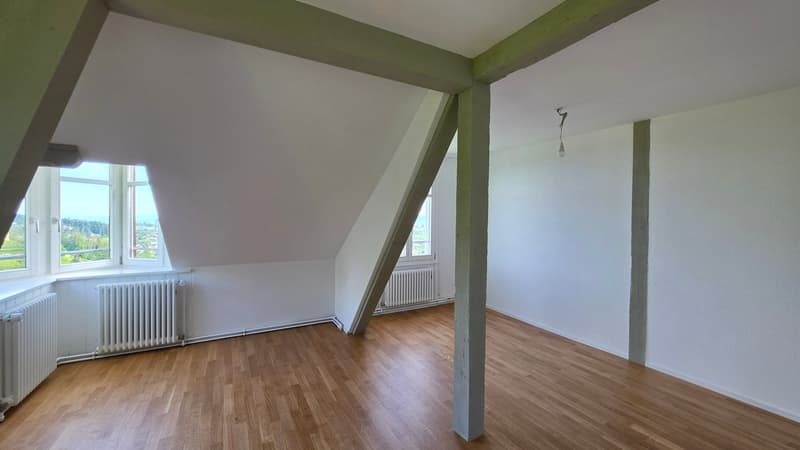 3.5 Zimmer-Dachwohnung 109m2 im 4. OG mit grosser Terrassen 36m2 (15)