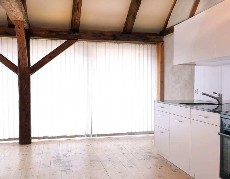 3.5-Zimmer-Wohnung mit Galerie (3)