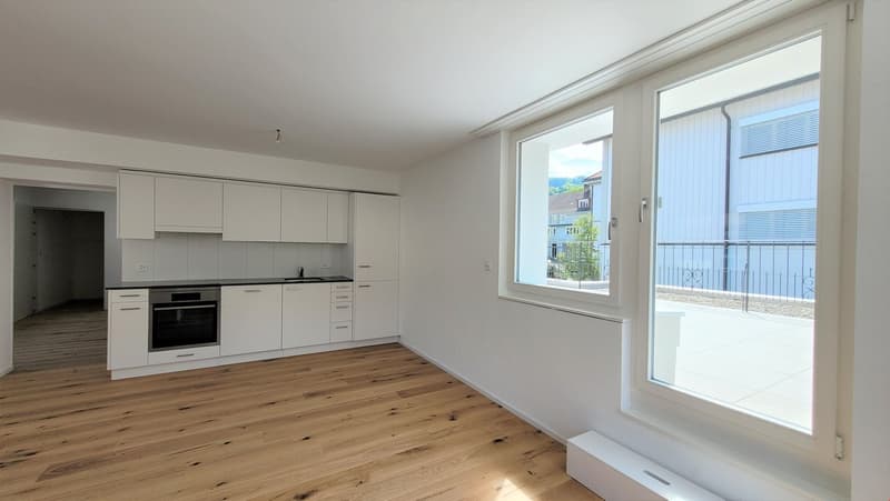 2.0-Zimmer-Wohnung 53m2 mit Terrasse 28m2 (3)