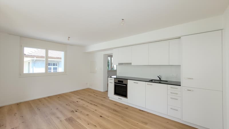 2.0-Zimmer-Wohnung 53m2 mit Terrasse 28m2 (2)