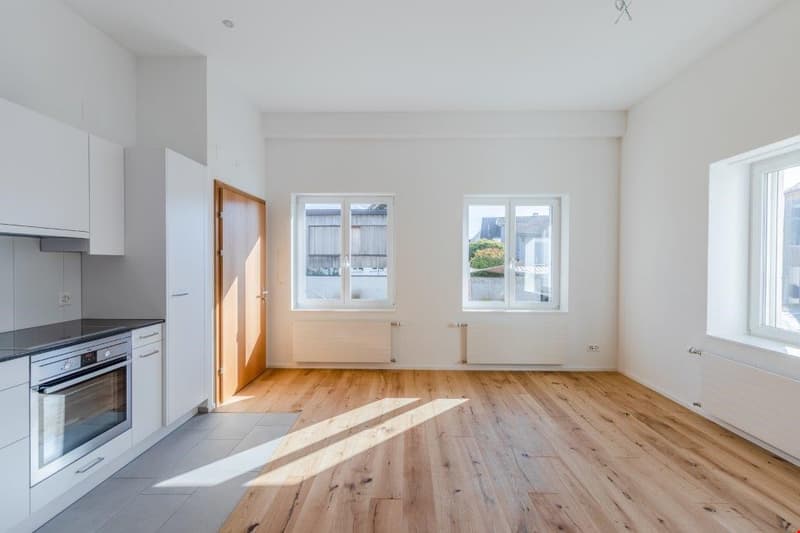 originelle 1.5 Zimmer-Wohnung im HP mit Galerie (5)