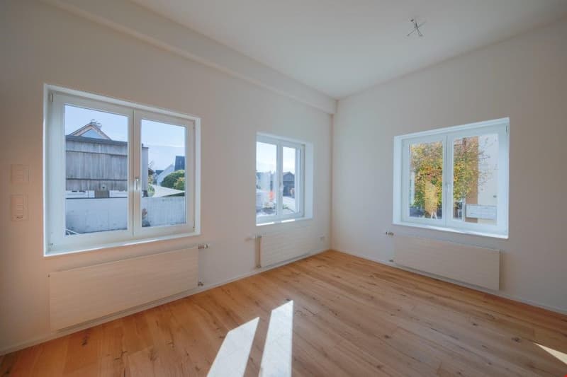 originelle 1.5 Zimmer-Wohnung im HP mit Galerie (6)