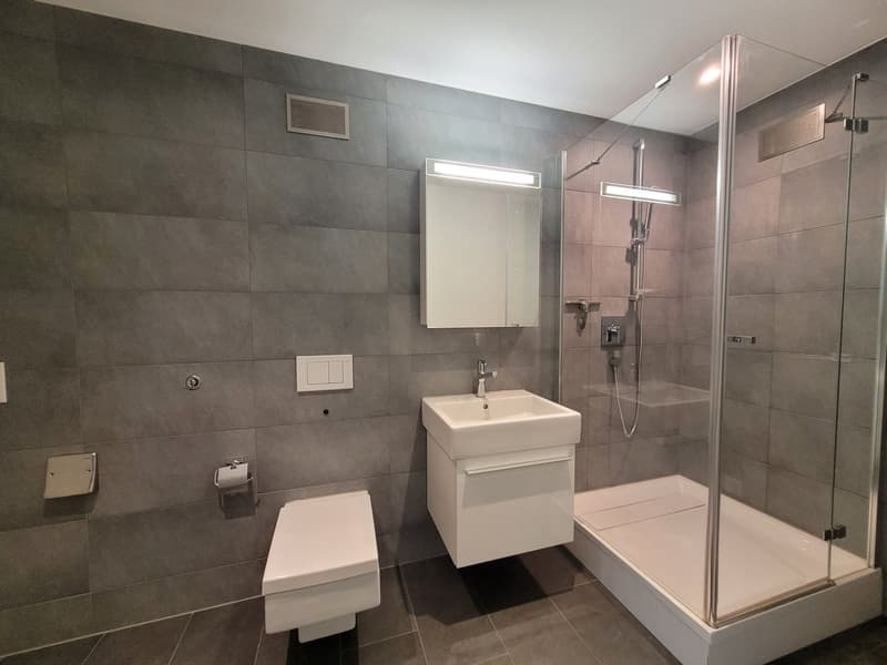 4,5 Zimmer-Wohnung im EG mit Gartensitzplatz (2)