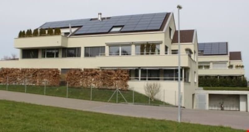 4,5 Zimmer-Wohnung im EG mit Gartensitzplatz (12)