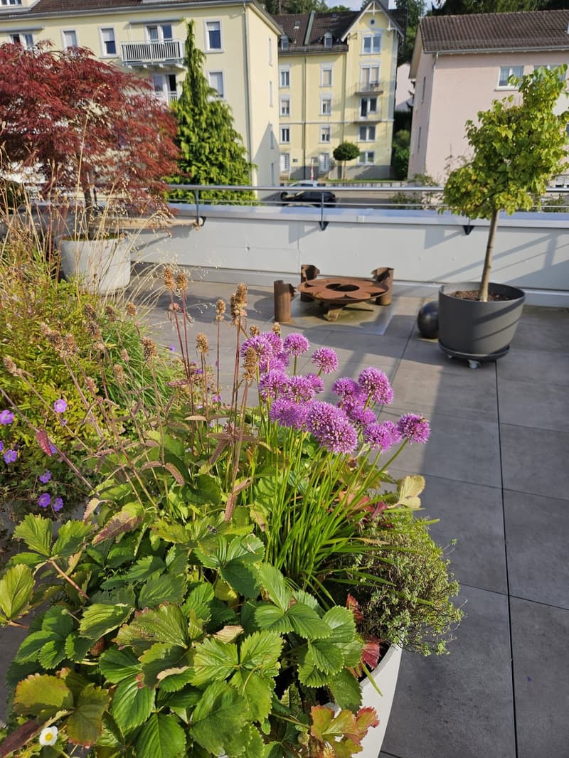 Moderne 3.5-Zimmer-Attikawohnung 86m2 mit Terrasse 93m2 und Balkon (4)
