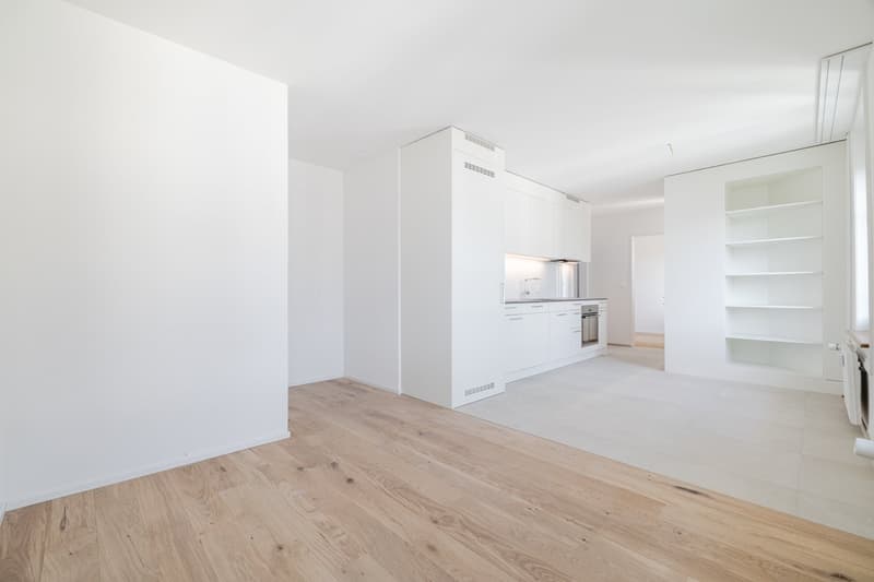 neuwertige 2.0 Zimmer-Wohnung im 3. OG ohne Balkon (2)