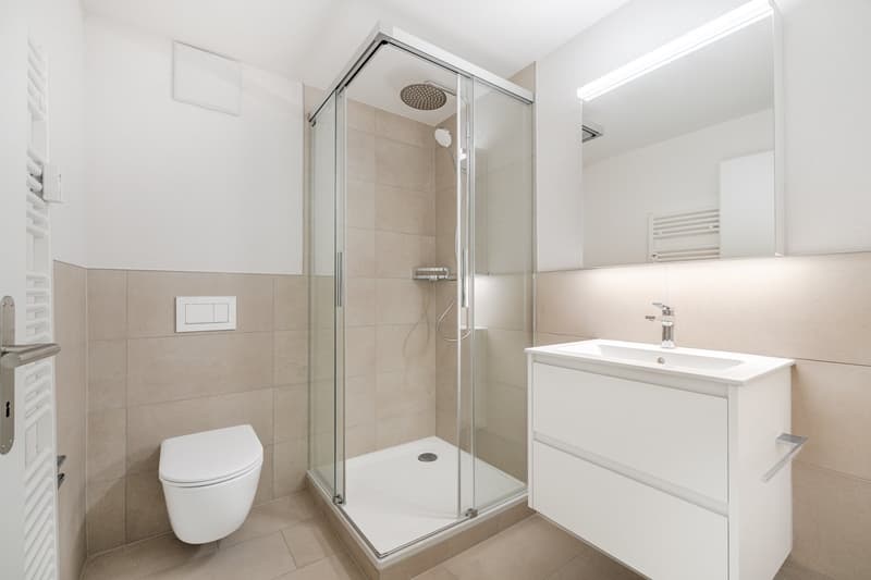 neuwertige 2.0 Zimmer-Wohnung im 3. OG ohne Balkon (6)