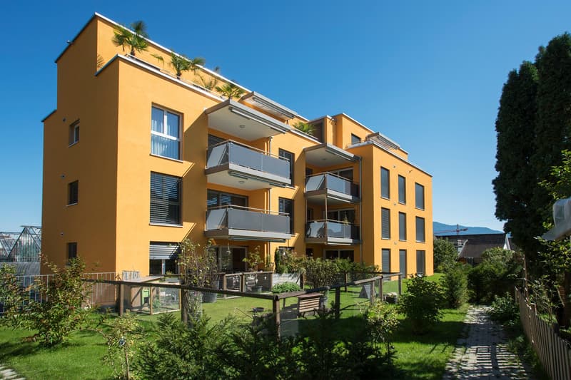 yellow apartment, balconies, large garden, fence