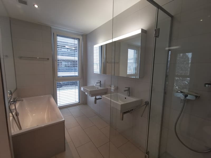 Bello appartamento di 3½ locali in affitto (13)