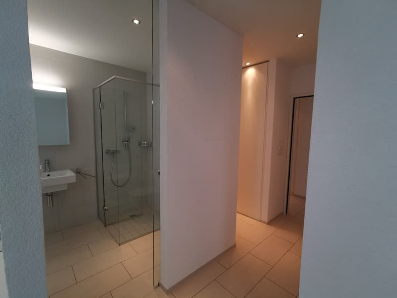 Bello appartamento di 3½ locali in affitto (14)