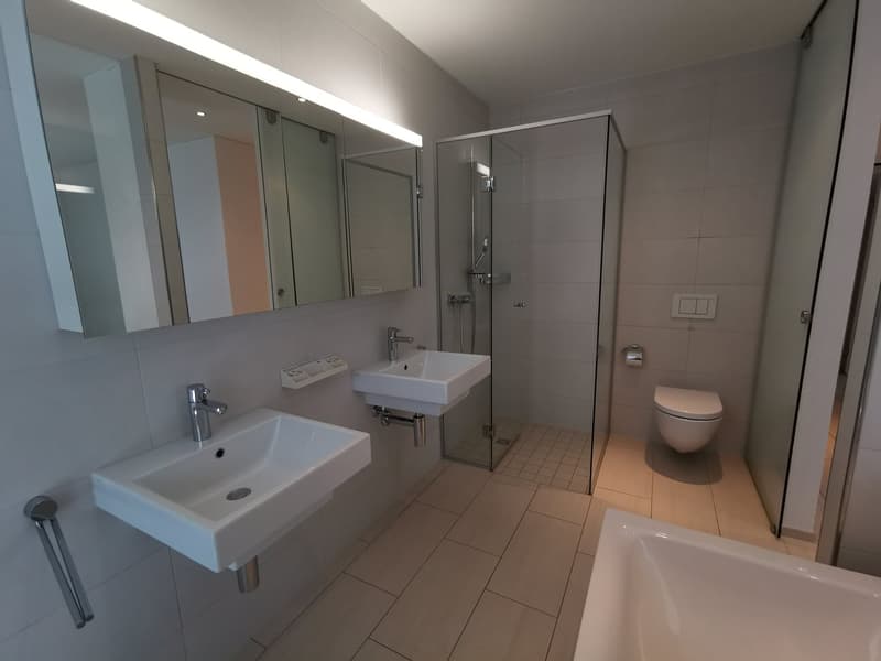 Bello appartamento di 3½ locali in affitto (12)