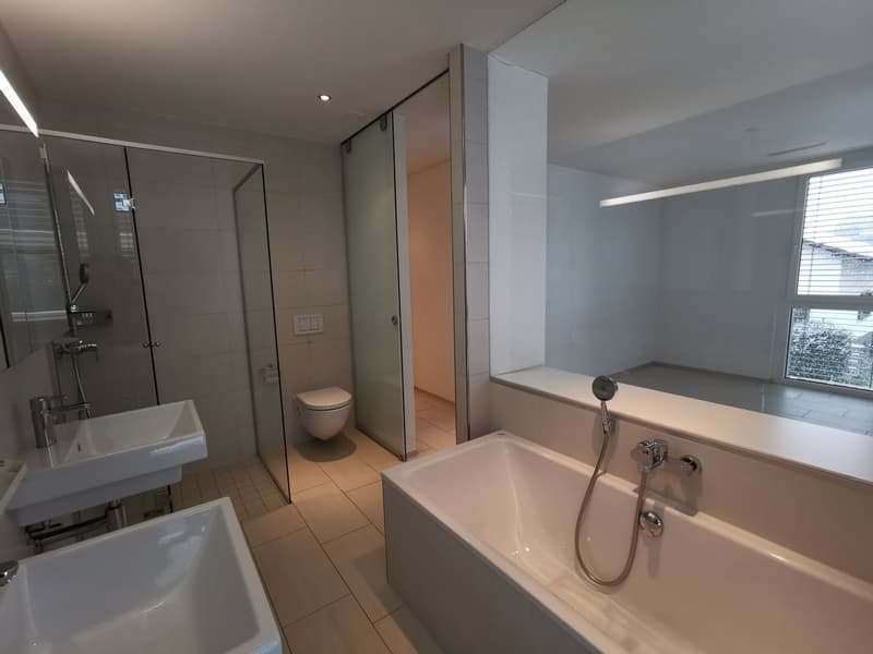 Bello appartamento di 3½ locali in affitto (11)