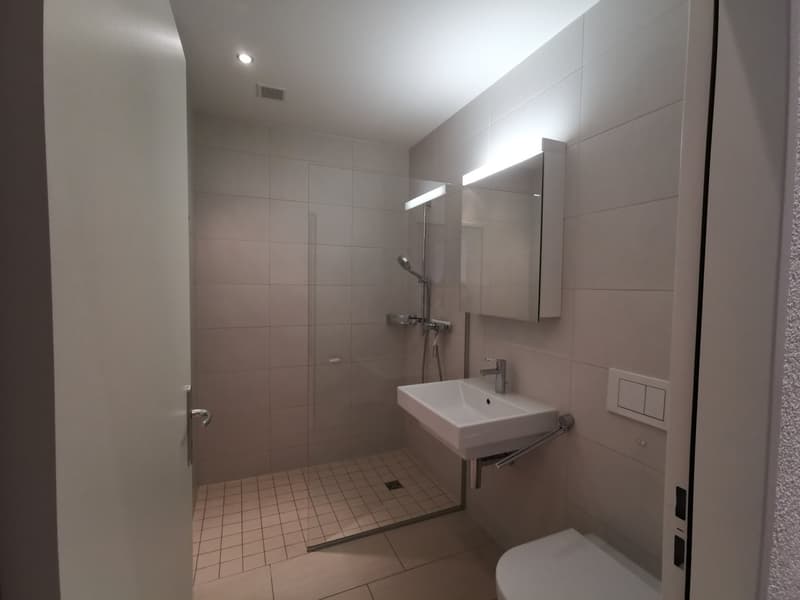 Bello appartamento di 3½ locali in affitto (6)