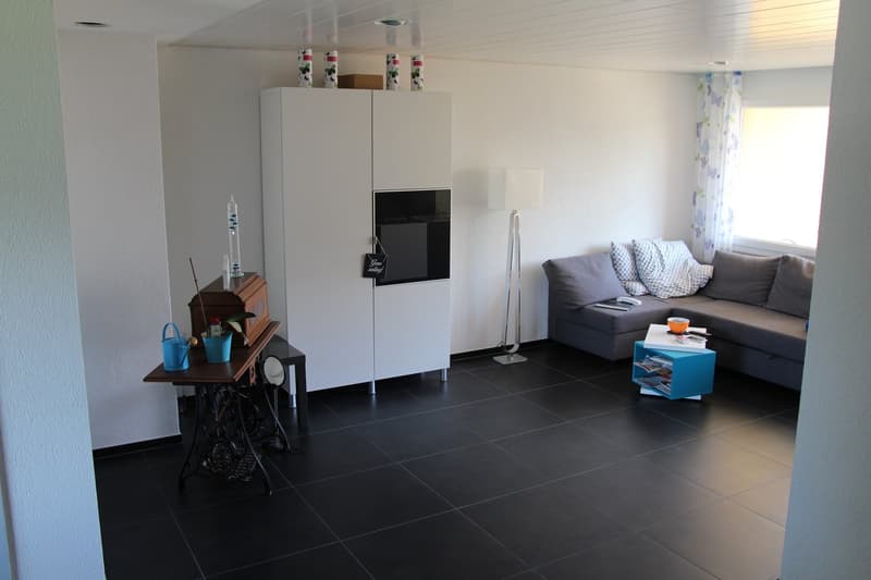 Charming 3.5-room apartment with balcony and fireplace in Widnau (4)