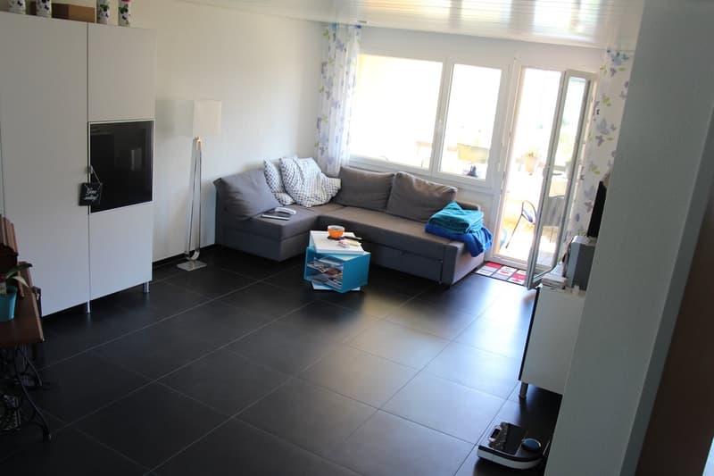 Charming 3.5-room apartment with balcony and fireplace in Widnau (5)