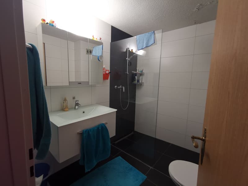 Charming 3.5-room apartment with balcony and fireplace in Widnau (11)