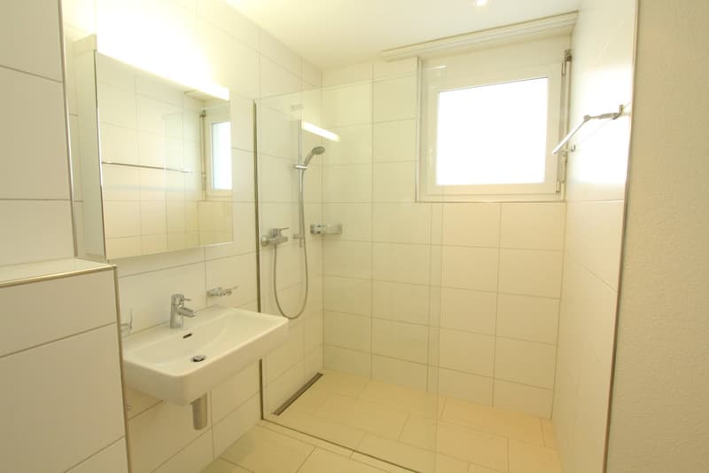 schöne 3½-Zimmerwohnung zu vermieten (5)