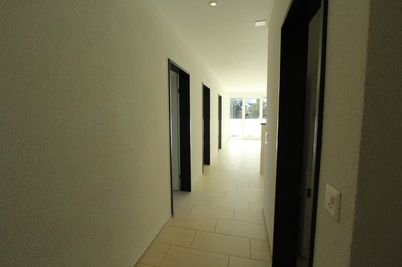 schöne 3½-Zimmerwohnung zu vermieten (7)