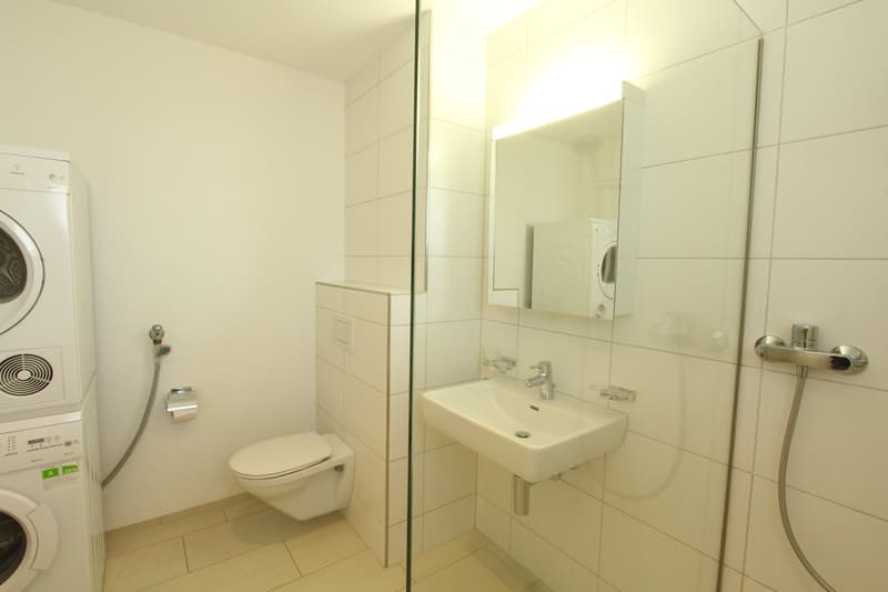 schöne 3½-Zimmerwohnung zu vermieten (4)