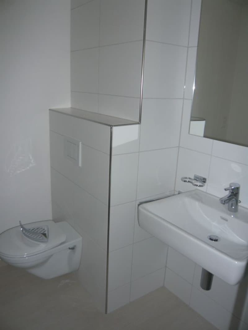 moderne 3.5-Zimmerwohnung zu vermieten (6)