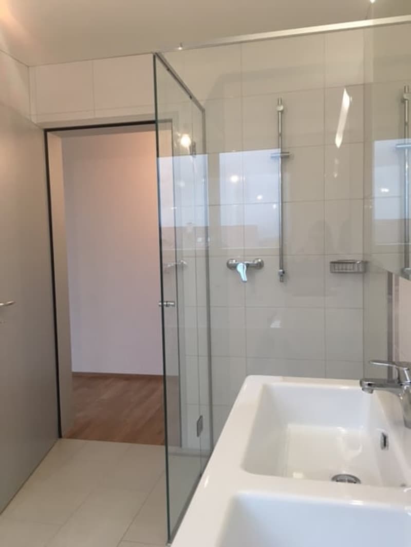moderne 3½-Zimmerwohnung zu vermieten (5)