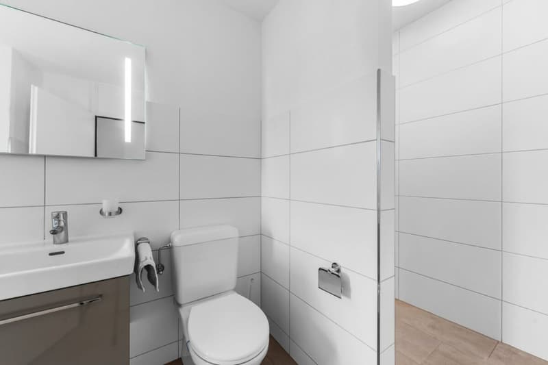 Habiter avec confort et vue panoramique - 5,5 pièces au centre (17)