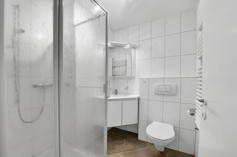 Sogno di casa con stile - luce, altezza e calore inclusi (10)