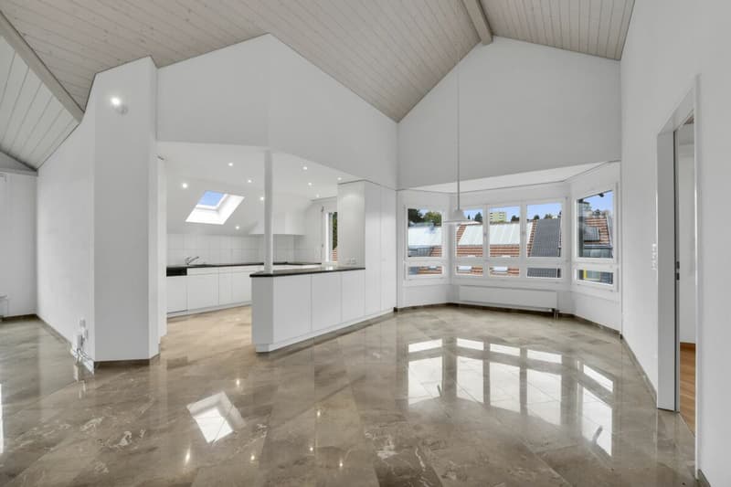 Sogno di casa con stile - luce, altezza e calore inclusi (3)