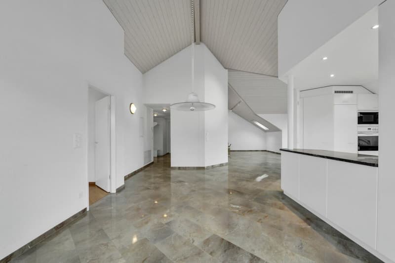 Sogno di casa con stile - luce, altezza e calore inclusi (4)