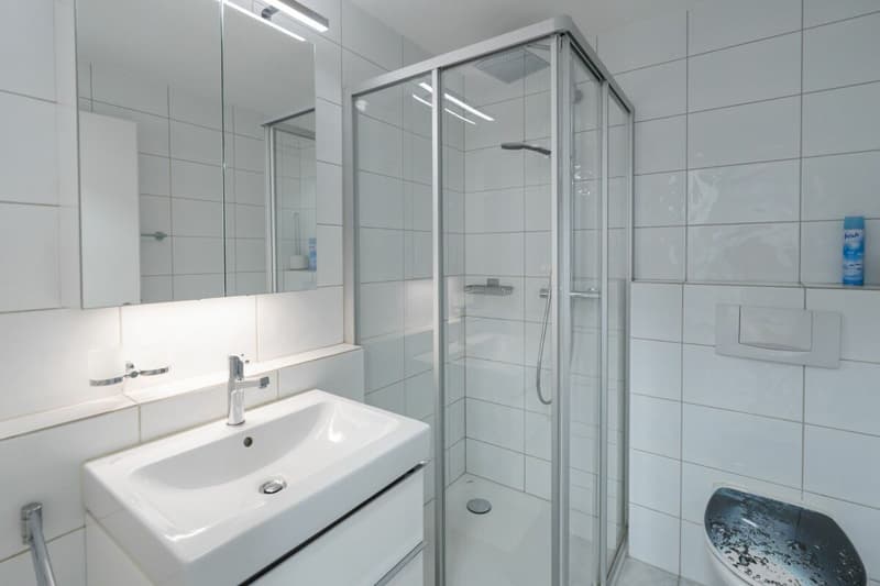 Espace de vie - maison mitoyenne bien entretenue dans un emplacement attractif. (17)
