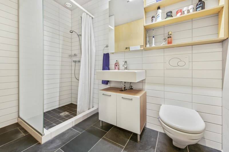 Più spazio, più pace, più casa - il tuo nuovo appartamento a Sirnach! (14)