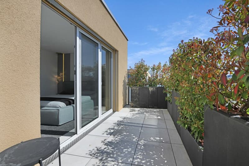 Un foyer au-dessus du reste - appartement penthouse exclusif avec intimité (19)